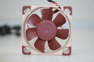 Noctua A new 00037